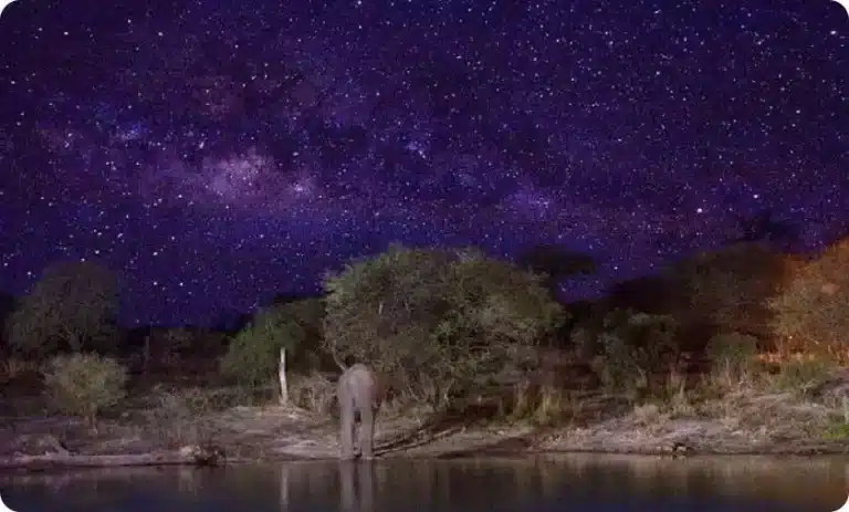 Harares Night Tour in Zimbabwe