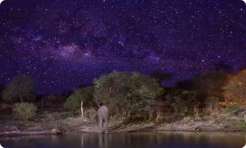 Harares Night Tour in Zimbabwe