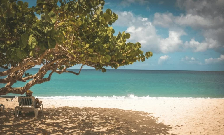 Grenada A Hidden Gem in the Caribbean