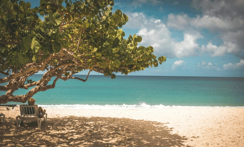 Grenada A Hidden Gem in the Caribbean