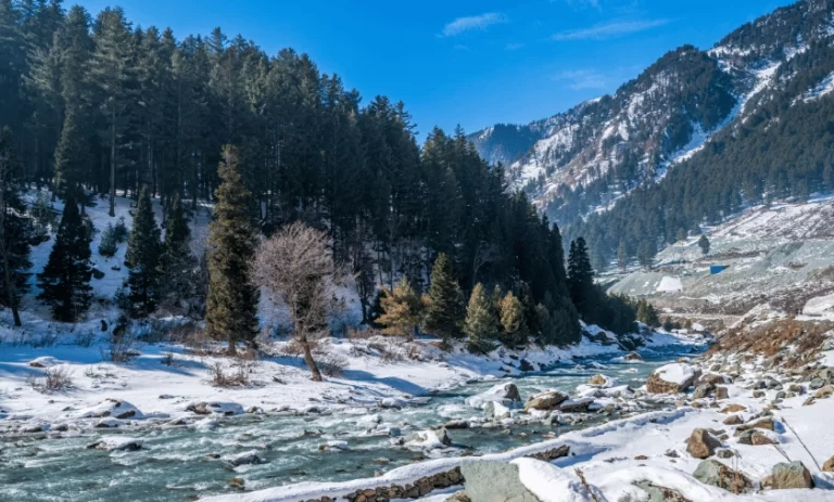 Top Winter Destinations in India