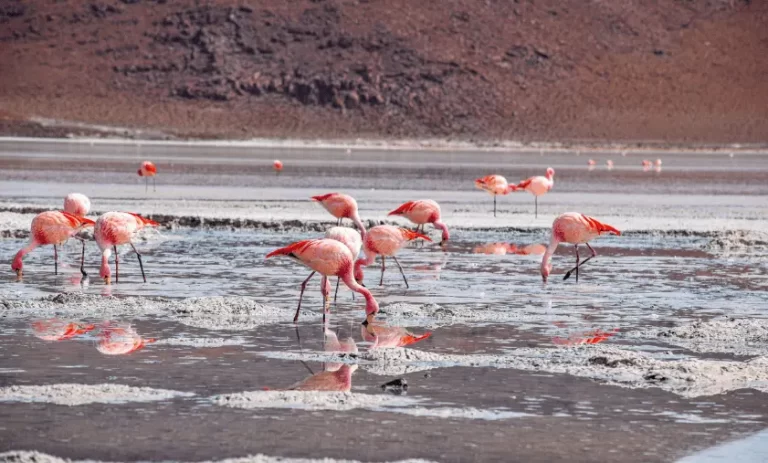 Bolivia Travel Itinerary