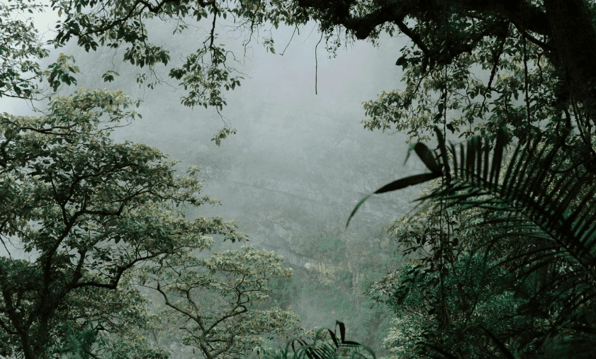 Suriname’s Best Eco-Tourism Adventures