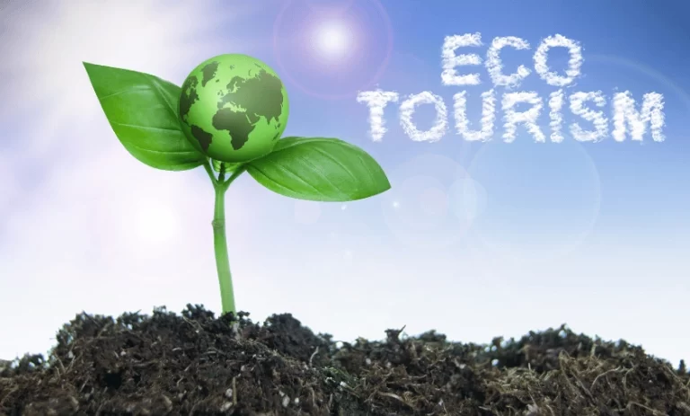 The Rise of Ecotourism in India