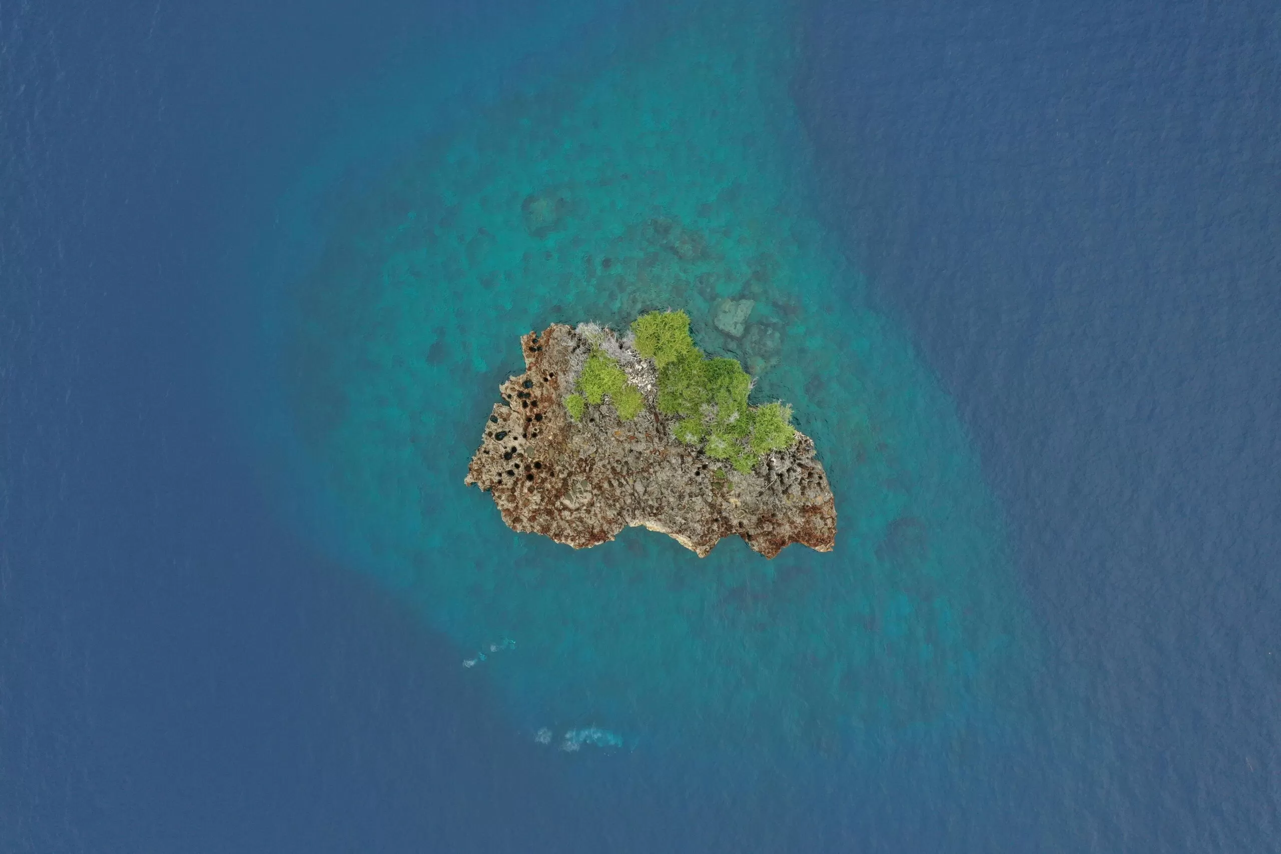 The Hidden Gem of the Pacific
